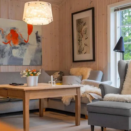בקתה Premium Ski-In/Out Cabin In Trysil Jacuzzi & Sauna טריסיל
